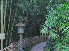 -广州兰圃