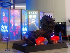 -东方明珠广播电视塔