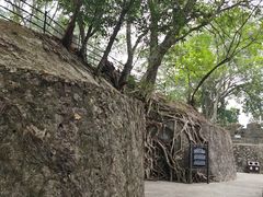 -友谊关景区