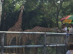 -泉州海丝野生动物世界