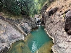 -广州白江湖森林公园