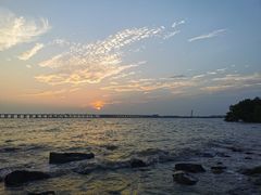 -宝安西湾红树林湿地公园