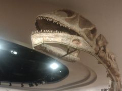 -自贡恐龙博物馆