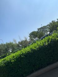-HEYAN长风荷妍专业脱毛美肤
