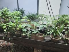 -花迹(富春江东街店)