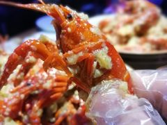 -猫头婴小酒馆FUN OWL(1912店)
