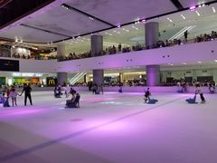 -TheRink大零溜冰场(IFS国金中心店)
