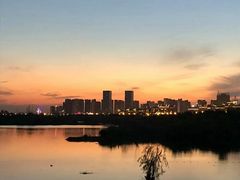 -合肥滨湖国家森林公园