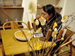 -柴务处·柴犬主题狗咖