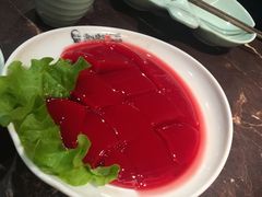 鲜鸭血-晓宇重庆火锅(赛格国际购物中心店)