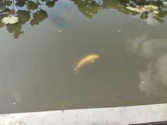 -昆明动物园