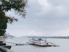 -杜甫江阁