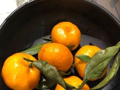 -到家尝北京菜(西坝河店)