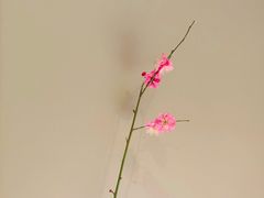 -宴昆山·私房菜(春晖店)