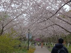 -范蠡湖公园