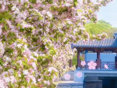 -元大都城垣遗址公园