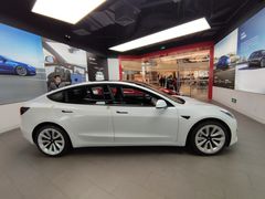 -TESLA 特斯拉(郑州正弘城体验店)
