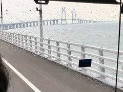 -港珠澳大桥码头