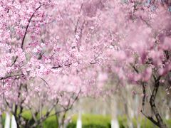 -白塘生态植物园