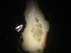 -深圳珠宝博物馆