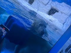 -大连老虎滩海洋公园