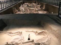 -洛阳周王城天子驾六博物馆