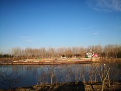 -东郊湿地公园