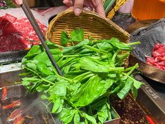 -锦城印象火锅(天府三街店)