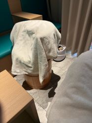 -梵茜儿·头道汤养生馆