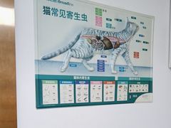 -宠颐生宠物医院外科·内科·皮肤科·影像科(石龙店)