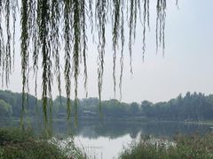 -北坞公园