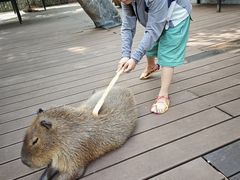 -呀诺达热带雨林
