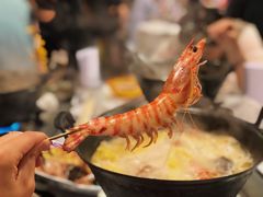 花竹虾-鲜入围煮花胶鸡海鲜火锅