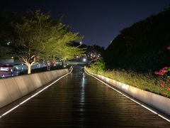 -欢乐海岸水秀剧场