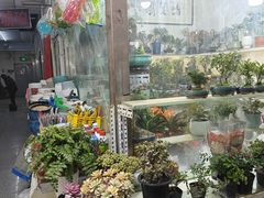 -宝鸡东道花鸟鱼虫市场(吉利花园商场店)