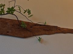 -隐溪茶馆(静安寺店)