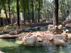 -北京野生动物园