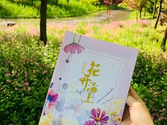 -花开海上生态园