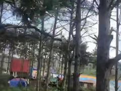 -北纬44度·金珠花海休闲农业旅游景区