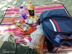 -大兴滨河森林公园