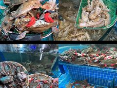 -蓝珊甄选海鲜自助·火锅大排档(近阿那亚店)