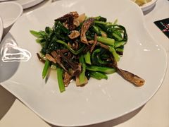 -来相会饺子·新辽菜(甘家口店)