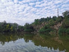 -铁山坪森林公园