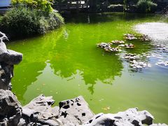-常熟方塔园