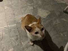 -富国岛翡翠湾 JW 万豪度假酒店