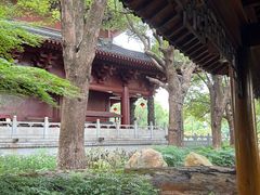 -绳金塔