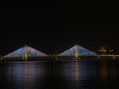 -武汉两江游览·夜游长江(汉口粤汉码头)