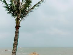 -那琴半岛地质海洋公园