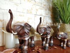 -木兰逸•泰式按摩•头疗•SPA(车公庙店)