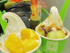 -Salud撒露欧洲冻酸奶(蓝色港湾店)